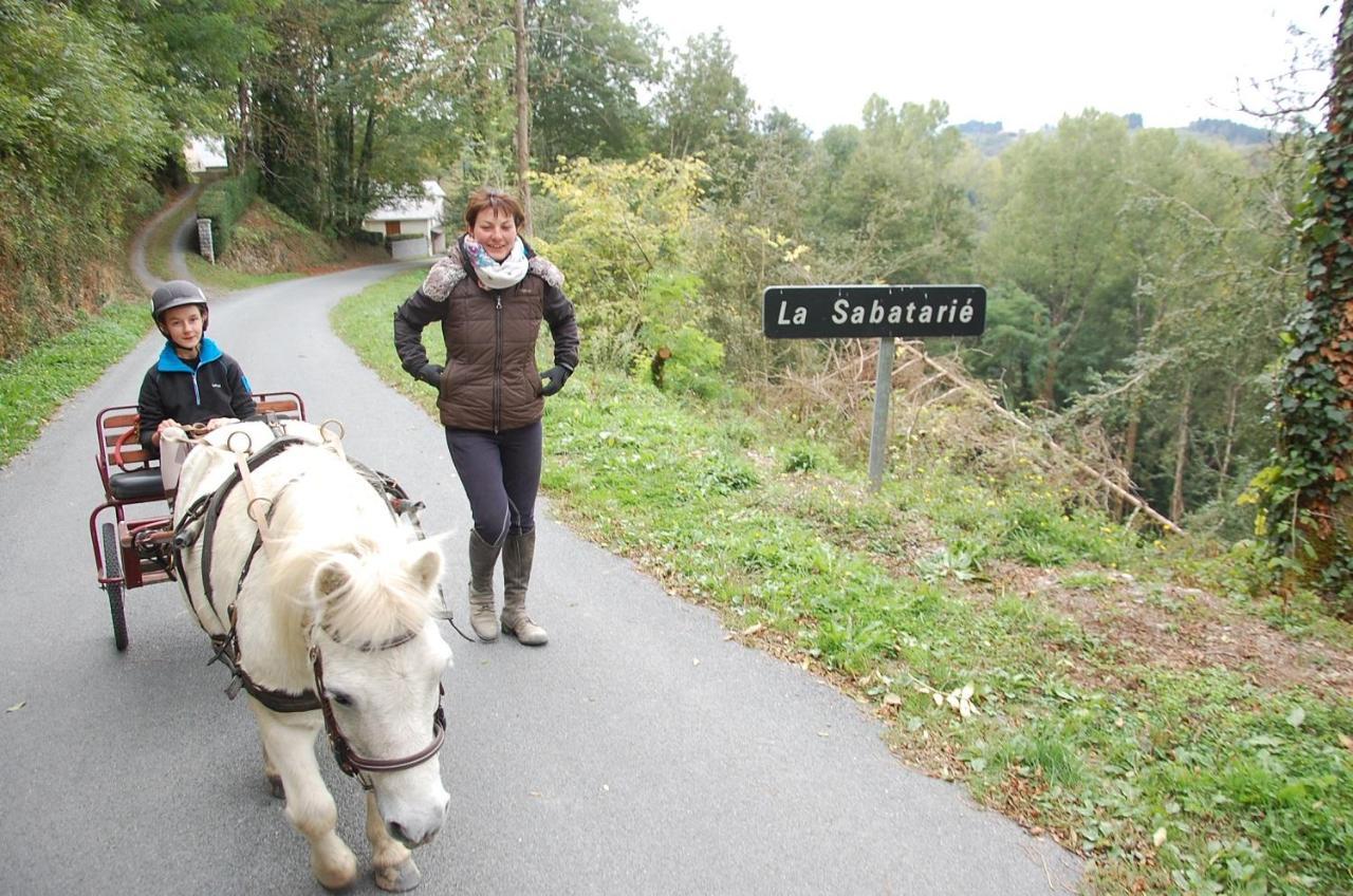 Les Ecuries De La Sabatarie Hotel Cambounès Kültér fotó